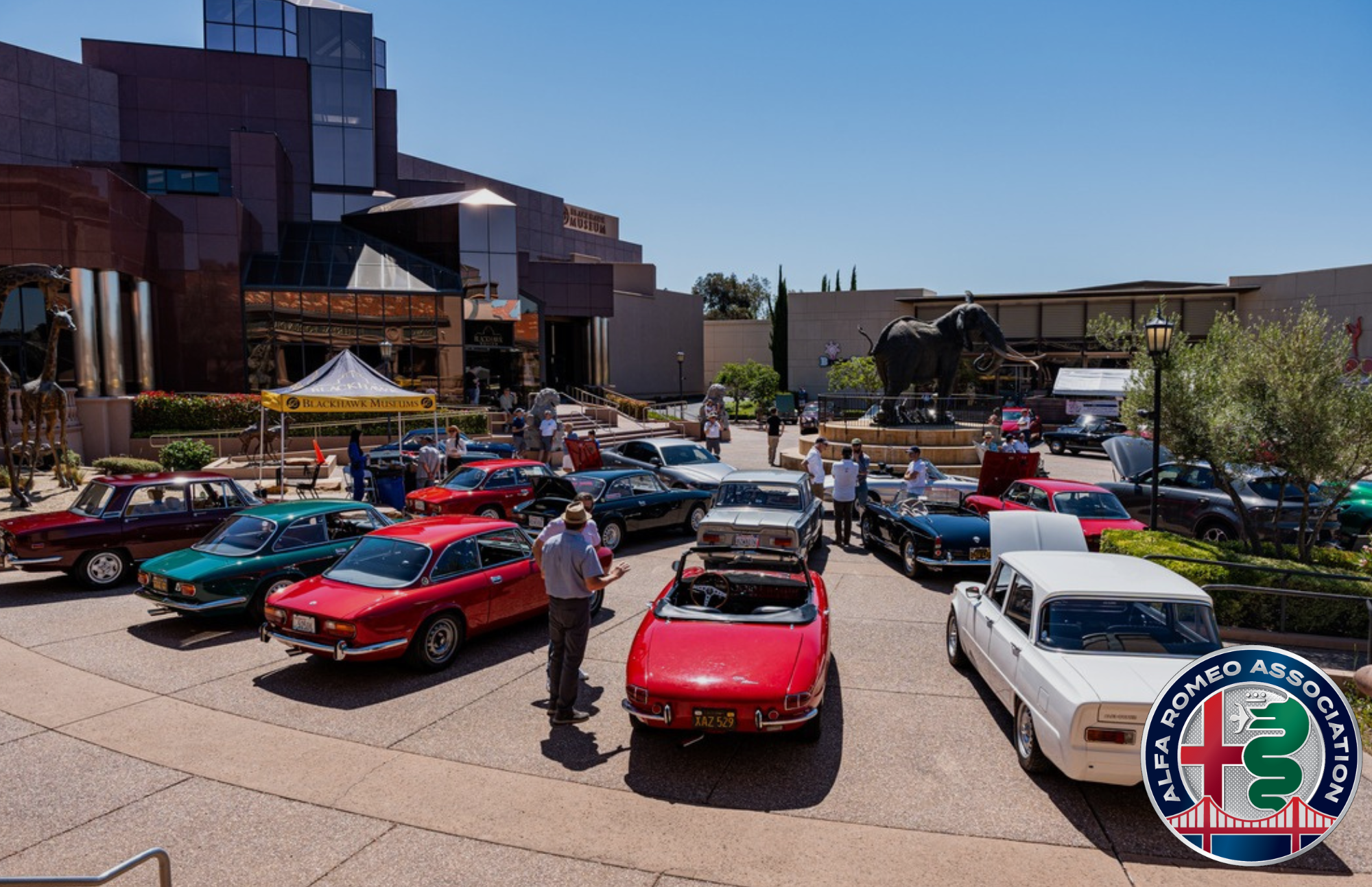 Alfa Romeo Association Car Show